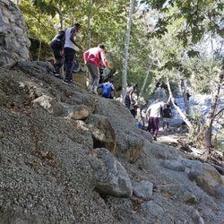 Camp Williams Resort