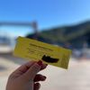 Catalina Adventure Tours gift card