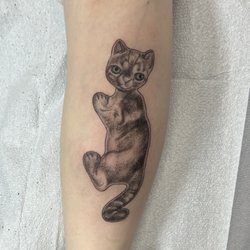 Have Fun Be Lucky Tattoo - I got a tattoo of a camark climbing cat, a Baltimore home decor icon :)
