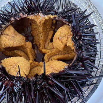 Quality Seafood - Uni = $16.99 a pound - Seafood Markets Near Me - Redondo Beach, California Quality Seafood - Uni = $16.99 a pound - Seafood Markets Near Me - Redondo Beach, California