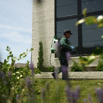 RIDD Pest Control - Pest Control Near Me - Raleigh, North Carolina RIDD Pest Control - Pest Control Near Me - Raleigh, North Carolina