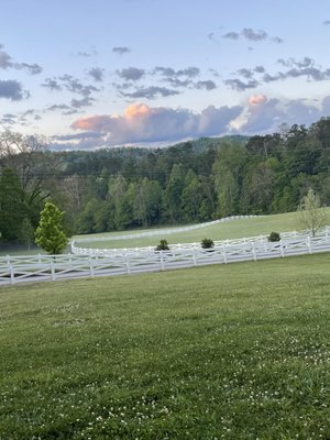 BLACKBERRY FARM - 332 Photos & 77 Reviews - 1471 W Millers Cove Rd ...