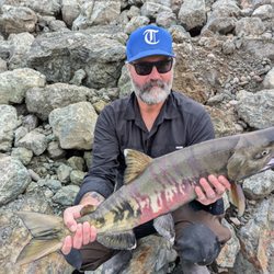 Alaska Adventure Guides