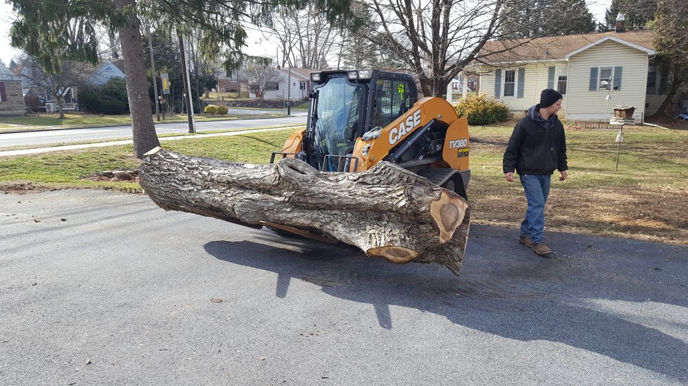 TLC LAWN CARE & LANDSCAPING Updated September 2024 14 Photos Camp