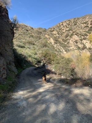 Trail Canyon Falls by null