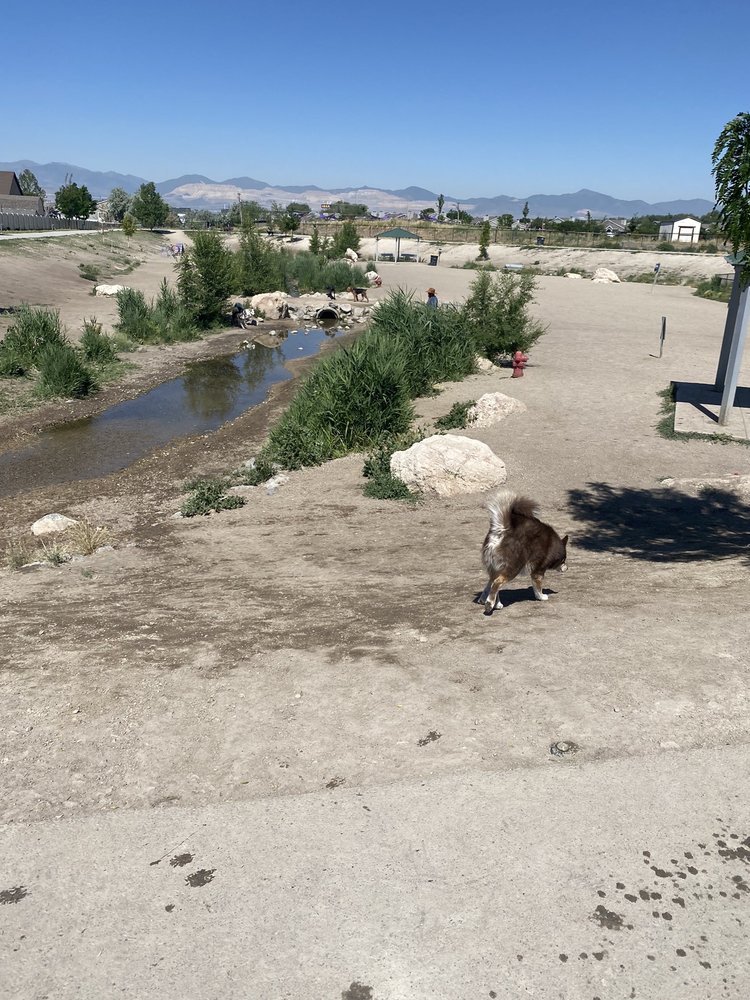 DAYLAND DOG PARK Updated August 2024 300 E 13400 S, Draper, Utah