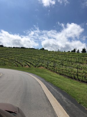 Inn at Black Star Farms by null