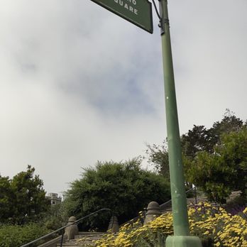 Alamo Square - Sign - Parks Near Me - San Francisco, California