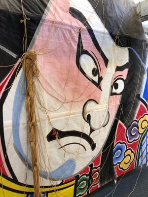 World Kite Museum & Hall-Fame by null