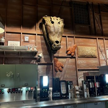 Restaurantosaurus - Above the drink machine - Fast Food Near Me - Lake Buena Vista, Florida Restaurantosaurus - Above the drink machine - Fast Food Near Me - Lake Buena Vista, Florida
