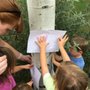 Wildflower Preschool
