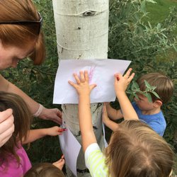 Wildflower Preschool - Outdoor learning every day