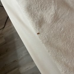 Gateway Inn Motel - Bed bugs!!!!