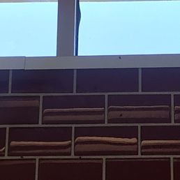 Flies everywhere, this is only a tenth of the flies in the restaurant