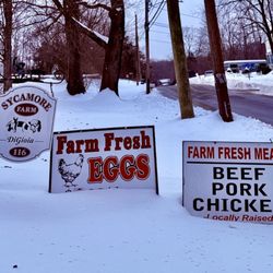 Sycamore Farm Meats - Front yard landmark. Big self serve Barn on the right up the hill
