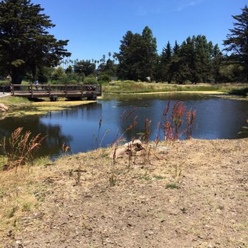 Mariners Lagoon - Parks Near Me - Alameda, California