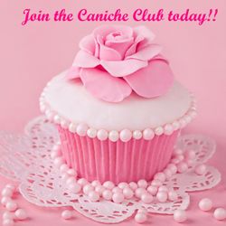 Caniche - Free to Join! Receive Birthday discounts and find out about special events first!!