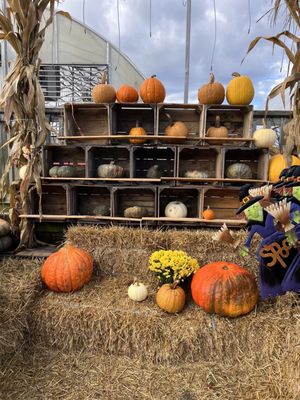 Frank's Produce & Greenhouse by null