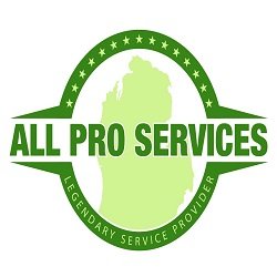 Slide of All Pro Services