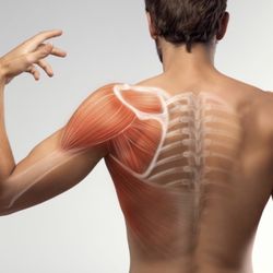 Synergy Wellness Chiropractic & Physical Therapy