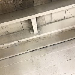 Mold Removal