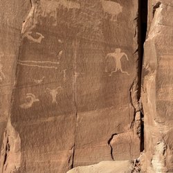 Tandem Base Moab - Petroglyphs along hike
