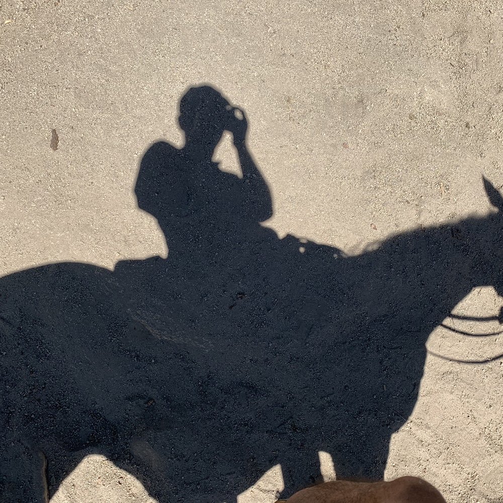 Zephyr Cove Stables - I was relaxed enough to start snapping random pics with my phone, like this one. - Horseback Riding Near Me - Zephyr Cove, Nevada Zephyr Cove Stables - I was relaxed enough to start snapping random pics with my phone, like this one. - Horseback Riding Near Me - Zephyr Cove, Nevada