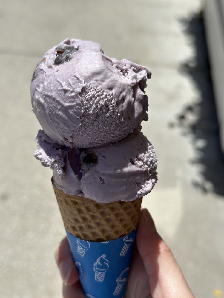 SANDERS CHOCOLATE & ICE CREAM SHOPS Updated August 2024 58 Photos & 37 Reviews 7330 Main