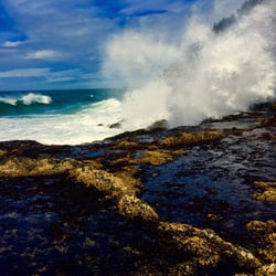 Robinson Orthodontics - Cape Perpetua, OR