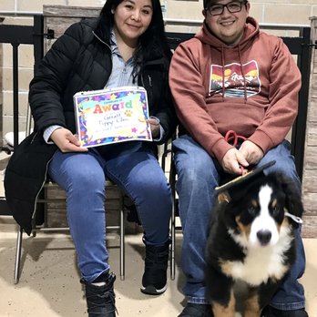 dogs by janet - Pet Training Near Me - Belleville, Michigan dogs by janet - Pet Training Near Me - Belleville, Michigan