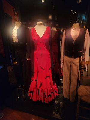 Flamenco Dance Museum by null