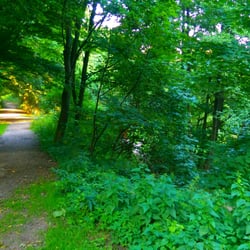Bahrenfelder See - Eingang Theodorstraße
