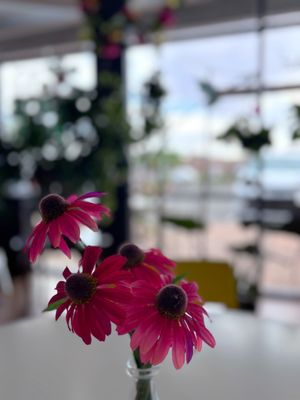 The Berry Beet Juice Bar by null