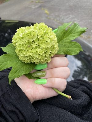 Bella Dolche Nails & Spa