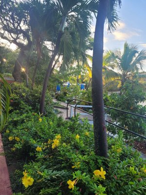 Bolongo Bay Beach Resort by null