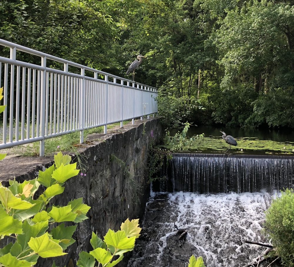 D W FIELD PARK Updated July 2024 35 Photos & 18 Reviews 331 Oak