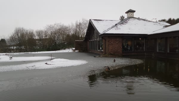 Tebay Services (Southbound) by null