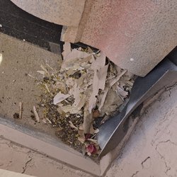 Inspect-It 1st - Roof Condition, 2025