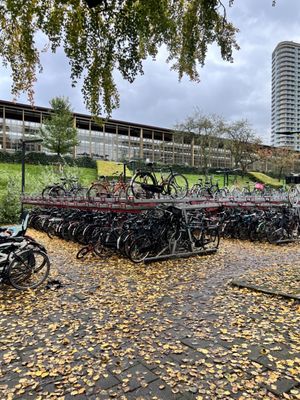 Amstel Station by null