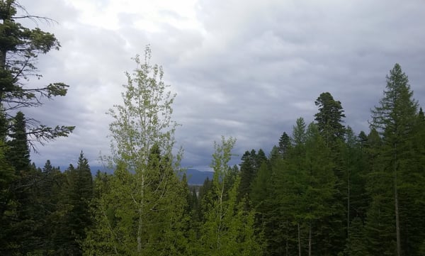 Tamarack Resort by null