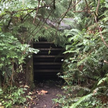 Ecola State Park - Bunker - Parks Near Me - Cannon Beach, Oregon Ecola State Park - Bunker - Parks Near Me - Cannon Beach, Oregon