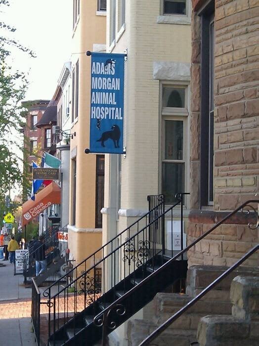 ADAMS ANIMAL HOSPITAL Updated October 2024 35 Photos & 118