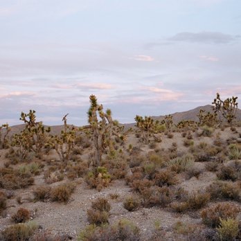 PhotoShack - Photography Stores & Services Near Me - Las Vegas, Nevada