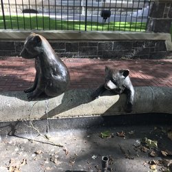 Animals In Pools - Street View