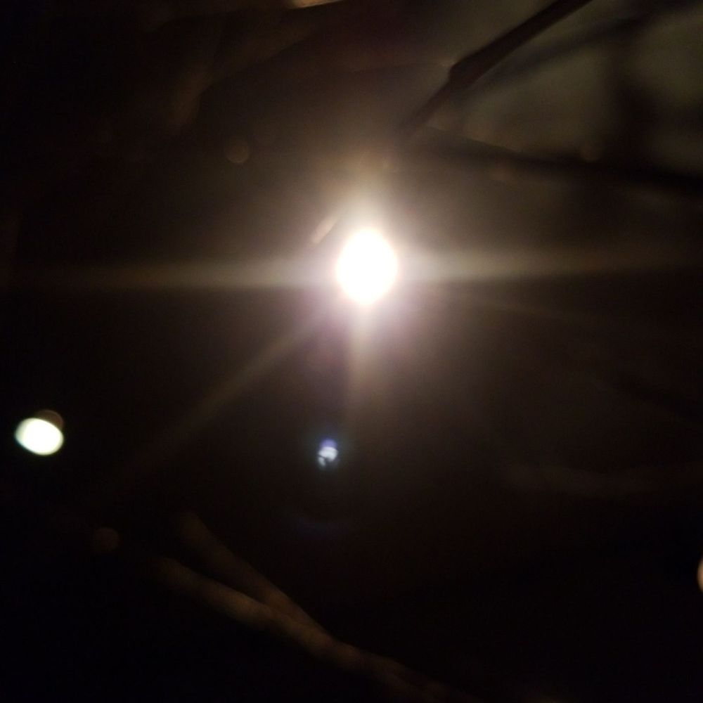 This light.... Ok, I'll sign the papers! This light.... Ok, I'll sign the papers!
