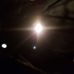 This light.... Ok, I'll sign the papers!