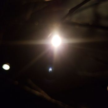 Culinaria - This light.... Ok, I'll sign the papers! - New American Near Me - Wilmington, Delaware