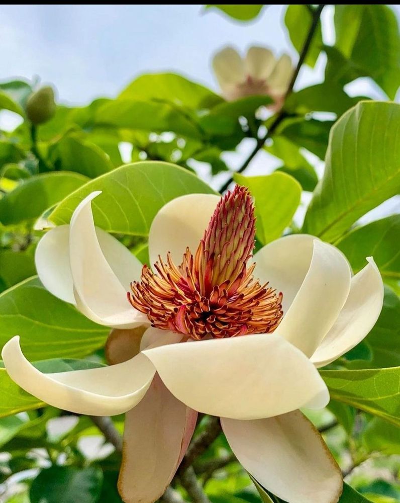 CITY OF FREMONT 150 Photos 3377 Alder Ave, Fremont, California Local Flavor Phone Number