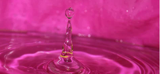 Slide of Pink Plumbing