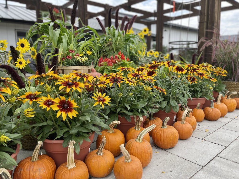 Culver's Garden Center & Greenhouse, Marion Roadtrippers